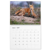Red Fox 2025 Kalender (Mär 2027)