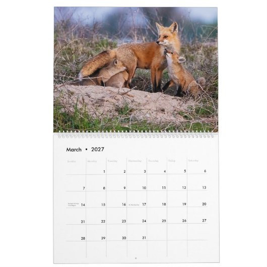 Red Fox 2025 Kalender (Mär 2027)