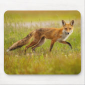 Red Fox Adult Mousepad (Vorne)