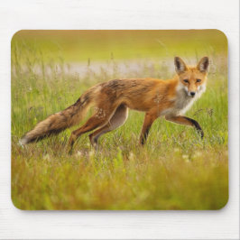 Red Fox Adult Mousepad