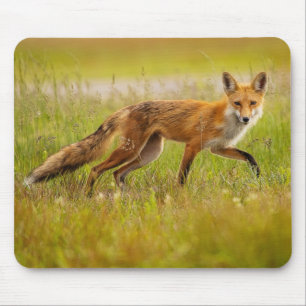 Red Fox Adult Mousepad