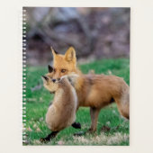 Red Fox and Kit 2024 Planer (Vorderseite)