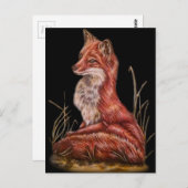 Red Fox Animal Art Zeichnend Postkarte (Vorne/Hinten)