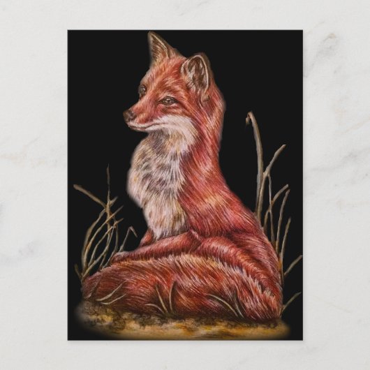 Red Fox Animal Art Zeichnend Postkarte (Vorderseite)
