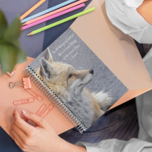 Red Fox Aristoteles Philosophisches Zitat