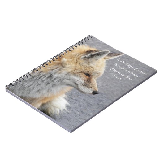 Red Fox Aristoteles Philosophisches Zitat Notizblock (Linke Seite)