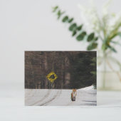 Red Fox auf der Hilltop Postkarte (Stehend Vorderseite)