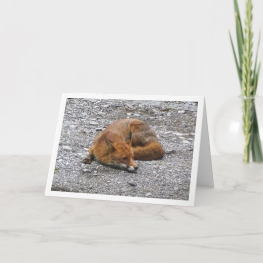 Red Fox auf der Straße Karte (Vorderseite)
