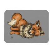 Red Fox auf grauem Hintergrund Magnet (Horizontal)
