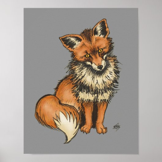 Red Fox auf grauem Hintergrund Poster (Vorne)