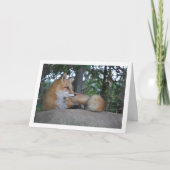 Red Fox auf Rock Karte (Vorderseite)