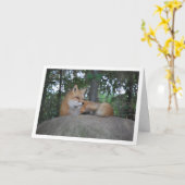 Red Fox auf Rock Karte (Gelbe Blume)