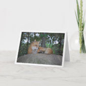 Red Fox auf Rock Karte (Vorderseite)