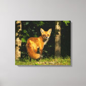 Red Fox Beauty Leinwanddruck (Vorderseite)
