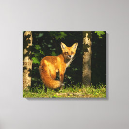 Red Fox Beauty Leinwanddruck