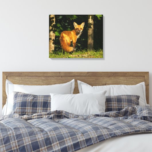 Red Fox Beauty Leinwanddruck (Insitu (Schlafzimmer))