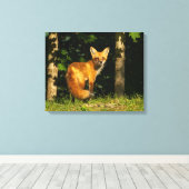 Red Fox Beauty Leinwanddruck (Insitu (Holzboden))