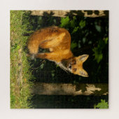Red Fox Beauty Puzzle (Horizontal)