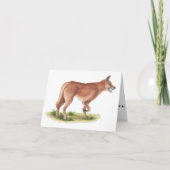 Red Fox Blank Note Card Karte (Vorderseite)