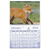 Red Fox Calendar by Angel Cher Kalender (Jan 2026)