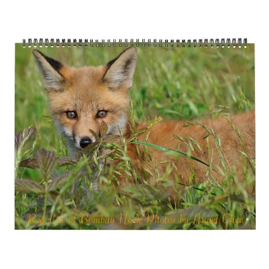 Red Fox Calendar by Angel Cher Kalender (Titelbild)