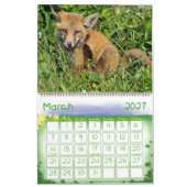 Red Fox Calendar by Angel Cher Kalender (Mär 2027)