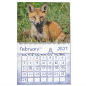 Red Fox Calendar by Angel Cher Kalender (Feb 2027)