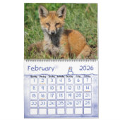 Red Fox Calendar by Angel Cher Kalender (Feb 2026)