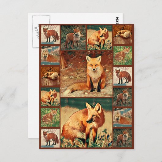 Red Fox Collection Postkarte (Vorne/Hinten)