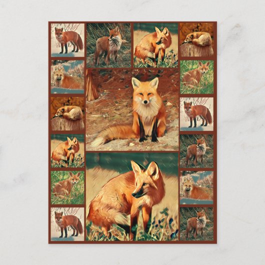 Red Fox Collection Postkarte (Vorderseite)