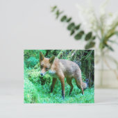 Red Fox Cub Feiertagspostkarte (Stehend Vorderseite)