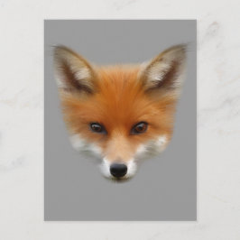 Red Fox Cub Postcard Postkarte