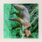 Red Fox Cub Puzzle (Horizontal)