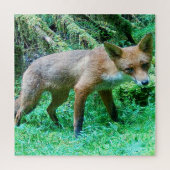 Red Fox Cub Puzzle (Vertikal)