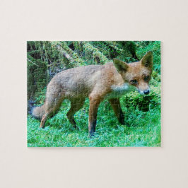 Red Fox Cub Puzzle