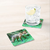 Red Fox Cub Untersetzer (Vor Ort)