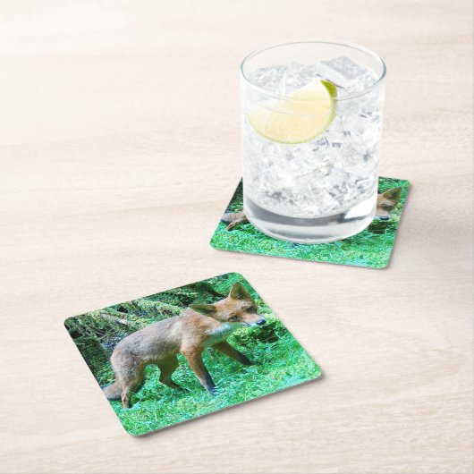 Red Fox Cub Untersetzer (Vor Ort)