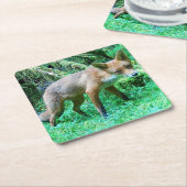 Red Fox Cub Untersetzer (angewinkelt)