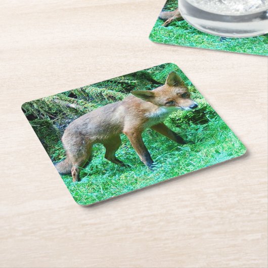 Red Fox Cub Untersetzer (angewinkelt)