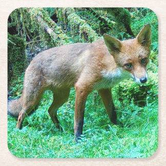 Red Fox Cub Untersetzer