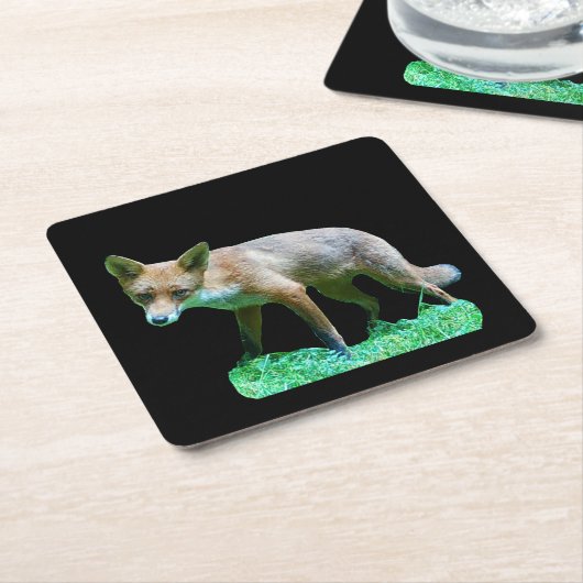 Red Fox Cub Untersetzer (angewinkelt)