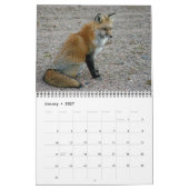 Red Fox Encounters Fox Fotografy Kalender (Jan 2027)