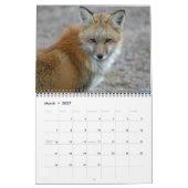 Red Fox Encounters Fox Fotografy Kalender (Mär 2027)