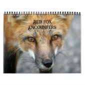 Red Fox Encounters Fox Fotografy Kalender (Titelbild)