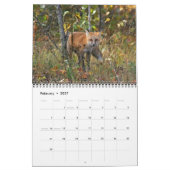 Red Fox Encounters Kalender (Feb 2027)