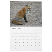 Red Fox Encounters Kalender (Jan 2027)