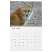 Red Fox Encounters Kalender (Mär 2027)