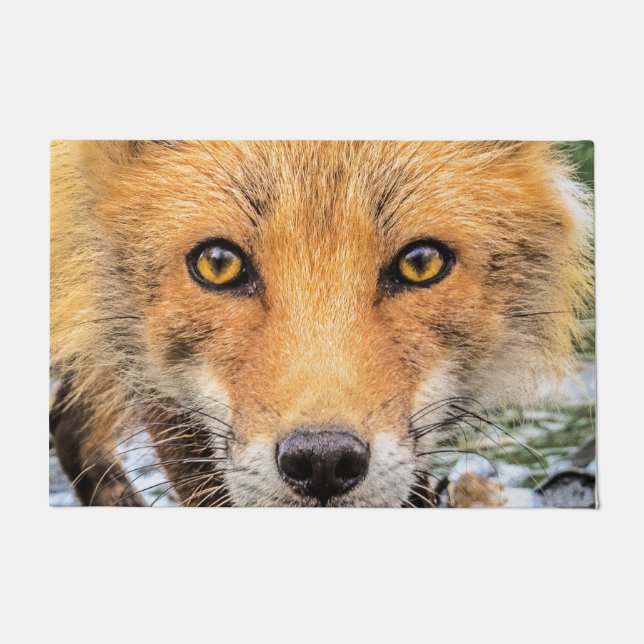 Red Fox Face - Augen Fußmatte (Vorderseite)
