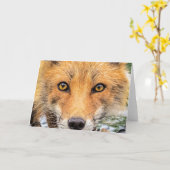 Red Fox Face - Augen Karte (Gelbe Blume)