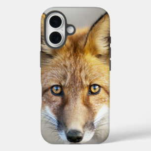 Red Fox Face, Nah-up iPhone 16 Hülle